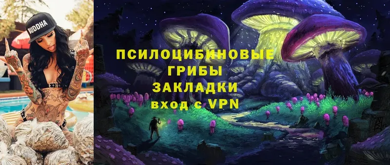 Псилоцибиновые грибы Cubensis  купить  сайты  Серов 